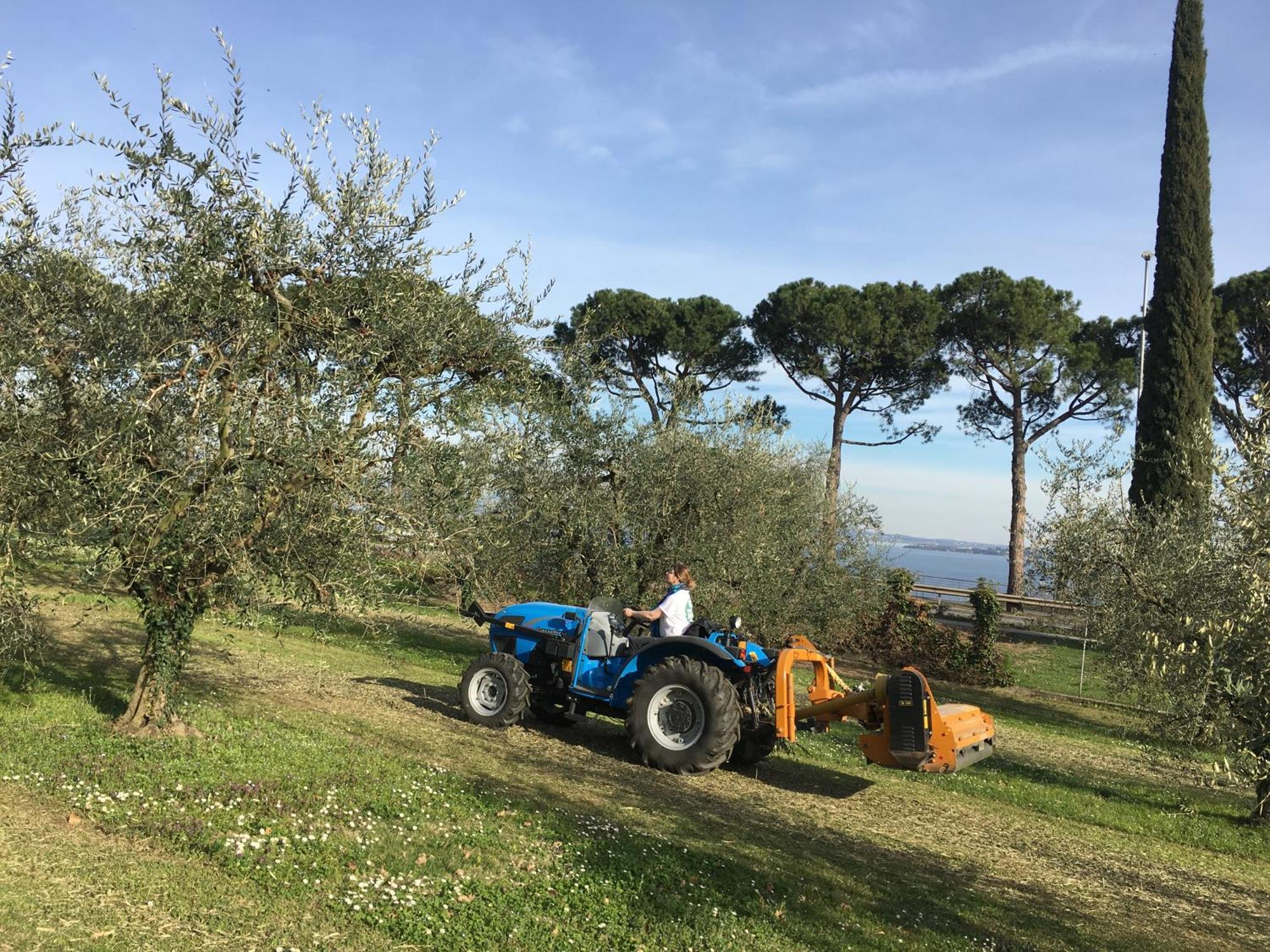 Agriturismo Nonna Bettina Moniga del Garda Экстерьер фото